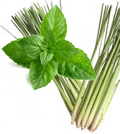 On Tap Oil & Vinegar Lemongrass Mint Balsamic Vinegar