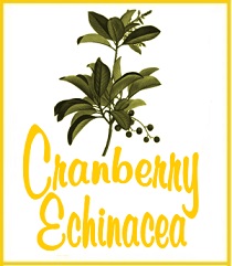 Cranberry Echinacea Tea